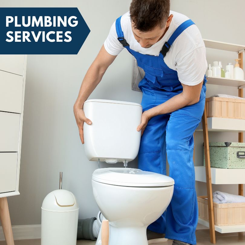 Plumbing Company in Sibley, IL